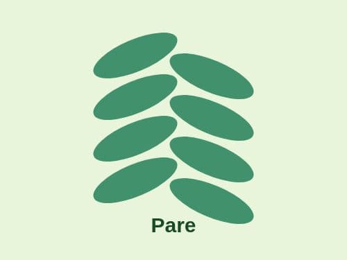 Foto Pare