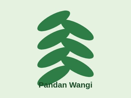Foto Pandan Wangi