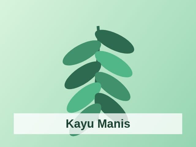 Foto Kayu Manis