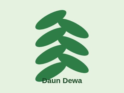 Foto Daun Dewa