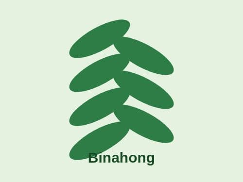 Foto Binahong