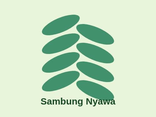 Foto Sambung Nyawa