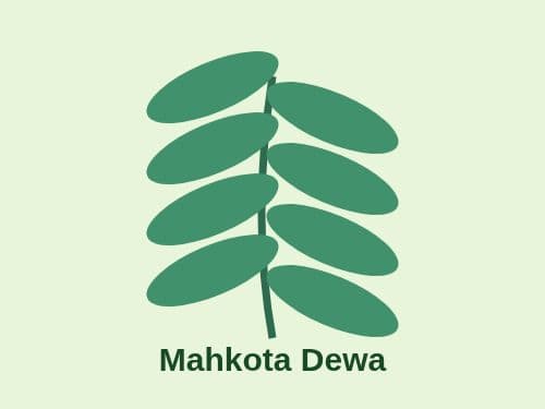 Foto Mahkota Dewa