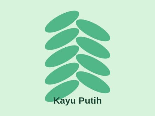 Foto Kayu Putih