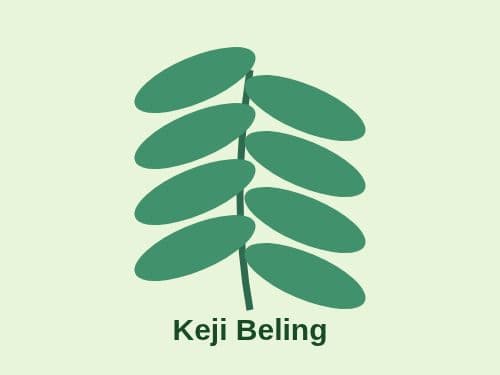 Foto Keji Beling